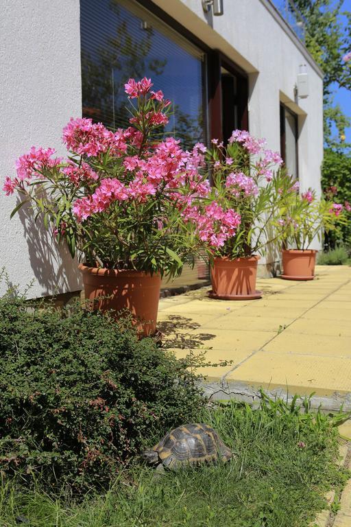 Saint Stefan Villas Sosopol Exterior foto